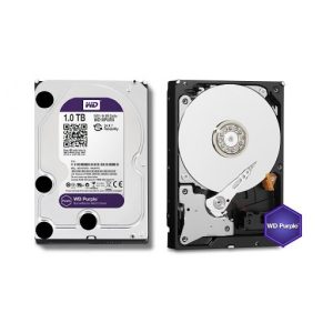 Western Digital Purple 1 TB